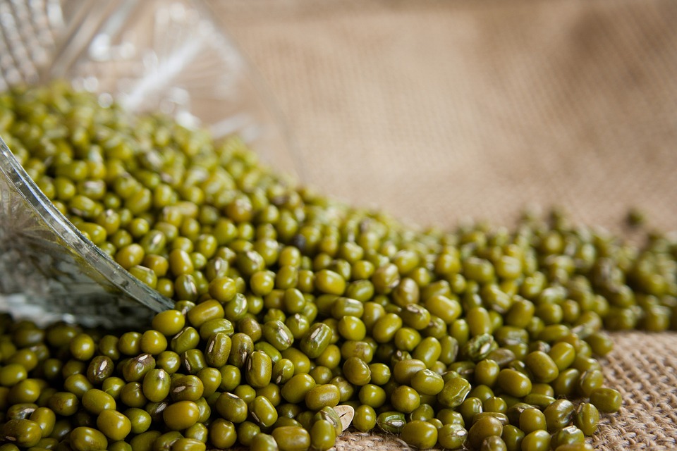 mungbean