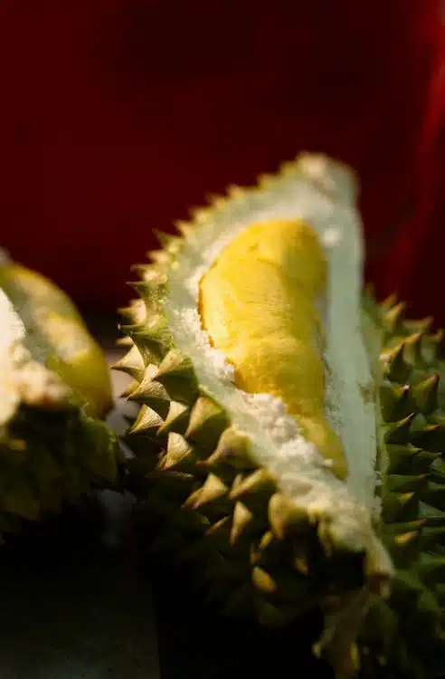 durian